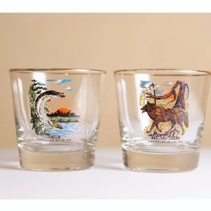 Vintage Cocktail Glasses with Canadian Wildlife imagery